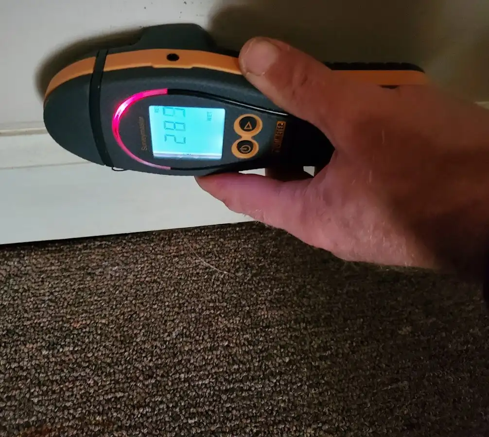 Moisture detection at baseboard during Sewage Cleanup & Sanitation in Dalton